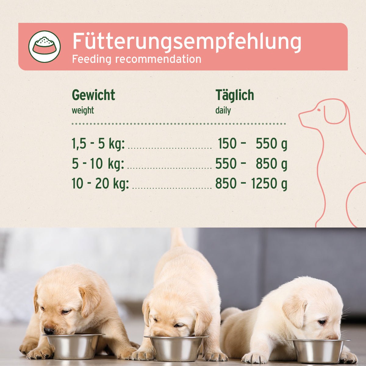 AniForte Nassfutter JuniorMenue Rind mit Süßkartoffeln für Welpen, getreidefrei, natürlich, vitalitätsfördernd