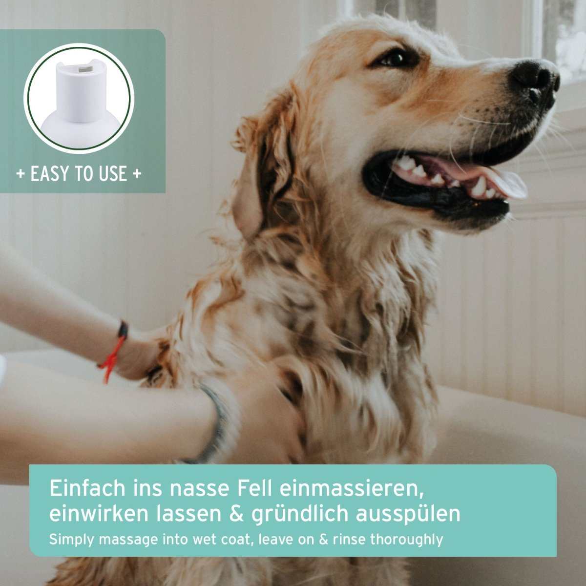 Hund wird gewaschen. 