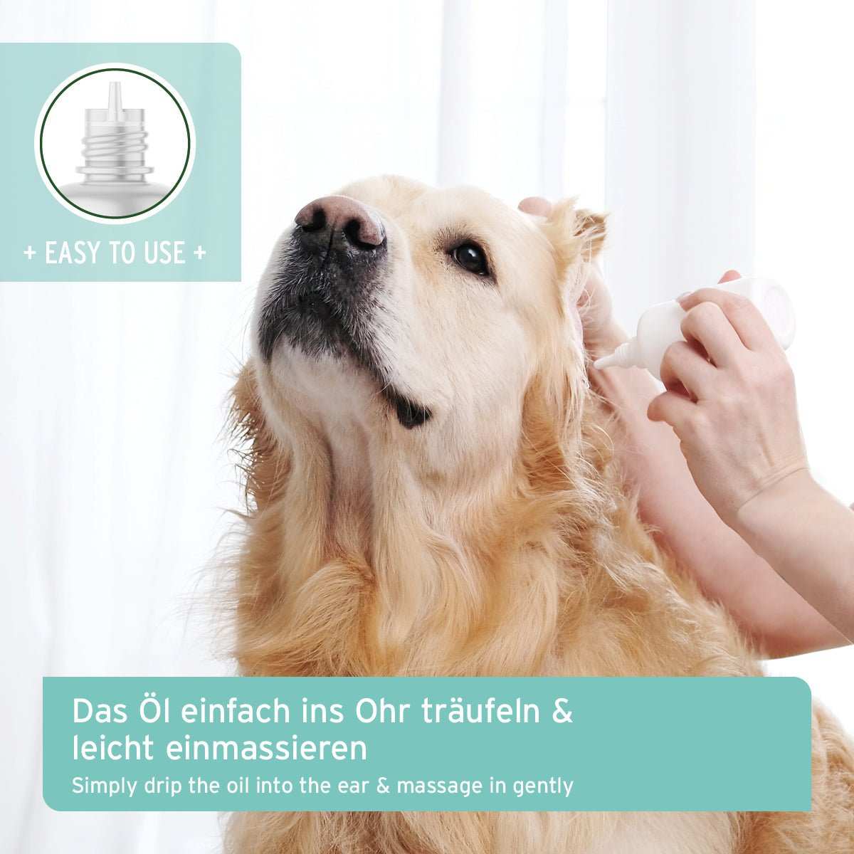 Hund wird gebürstet. 