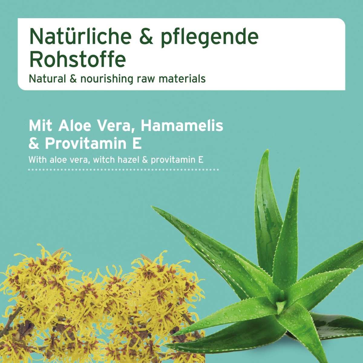 Informationen zu Pflegetücher für Hunde mit Aloe Vera und Hamamelis, reißfest, hypoallergen, 20x26 cm. Daneben Pflanzen auf türkisem Hintergrund. 