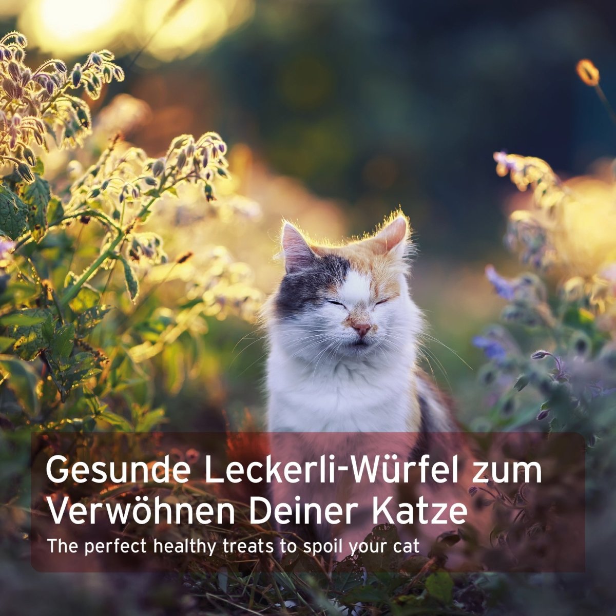 AniForte® Soft Snack Rind weiche Rinderwürfel als katzenfreundlicher Snack ohne Getreide