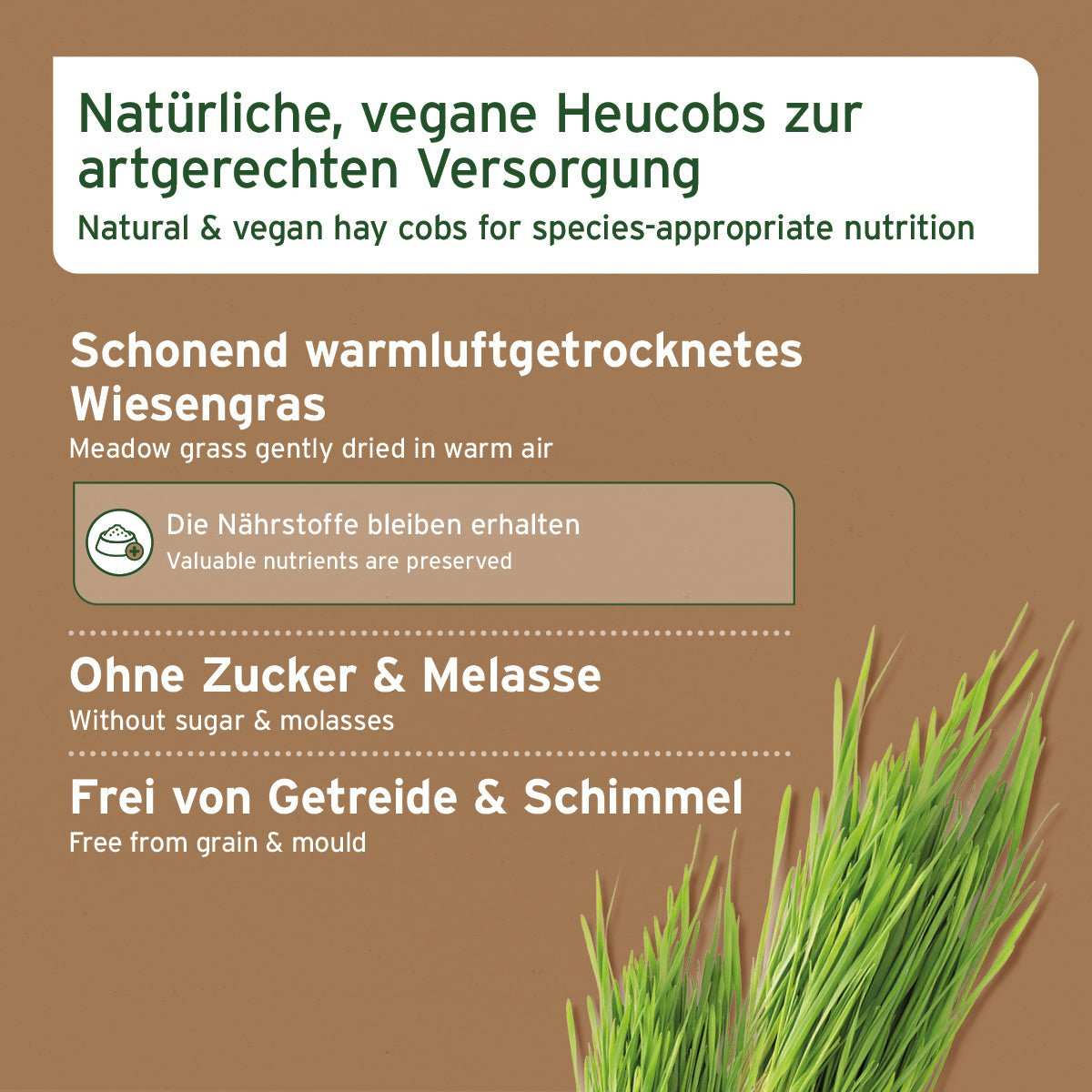 Wiesengras auf braunem Hintergrund. Dazu weitere Informationen zu veganen Heucobs. 