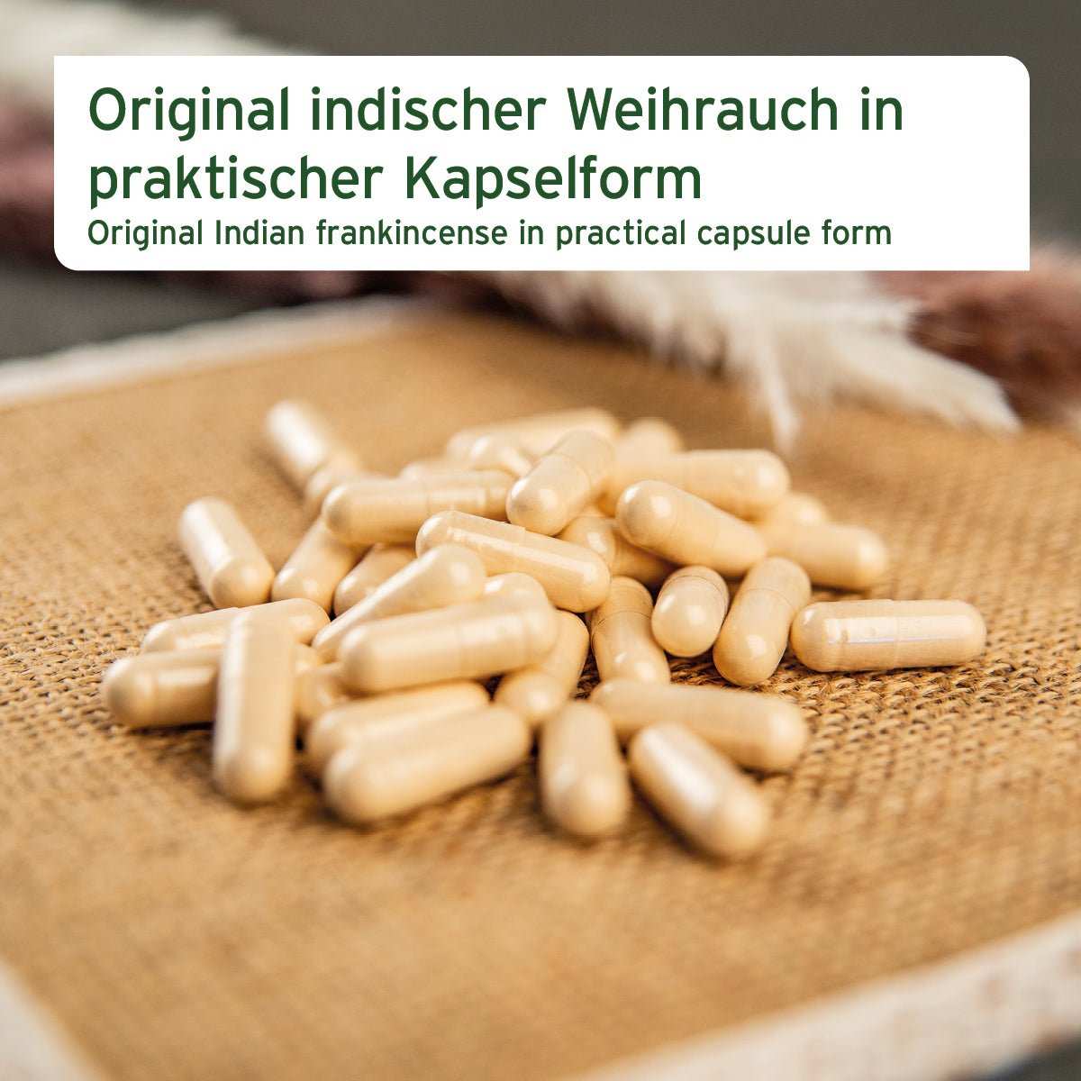 Original indischer Weihrauch in Kapselform für Hunde auf Jutematte.