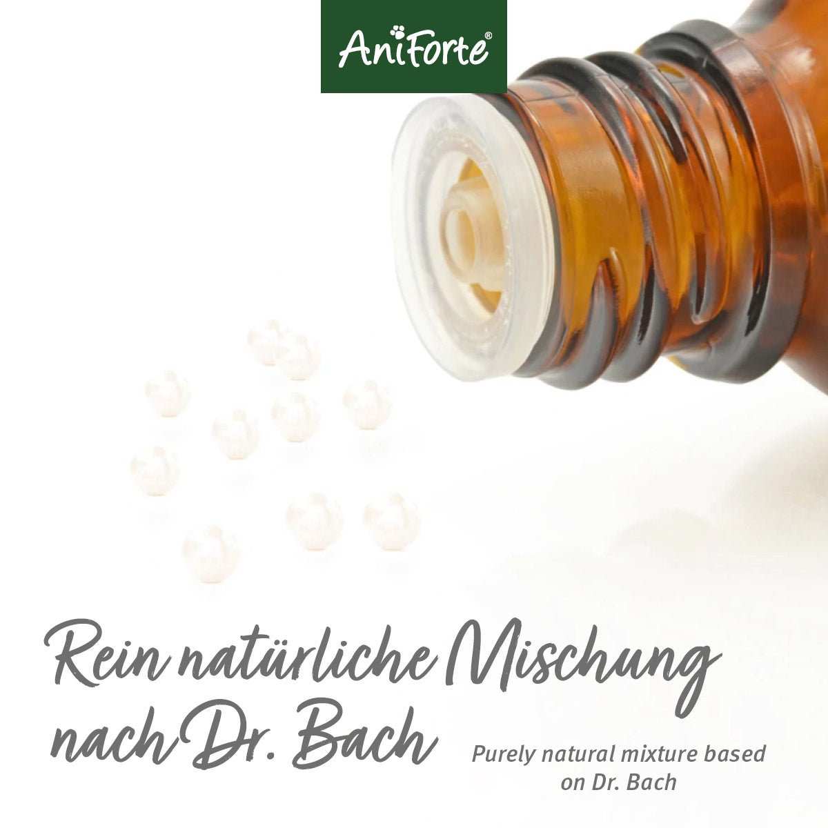Globuli für Hunde, Katzen und Kleintiere aus natürlichen Bachblüten, hergestellt in Deutschland von AniForte®.
