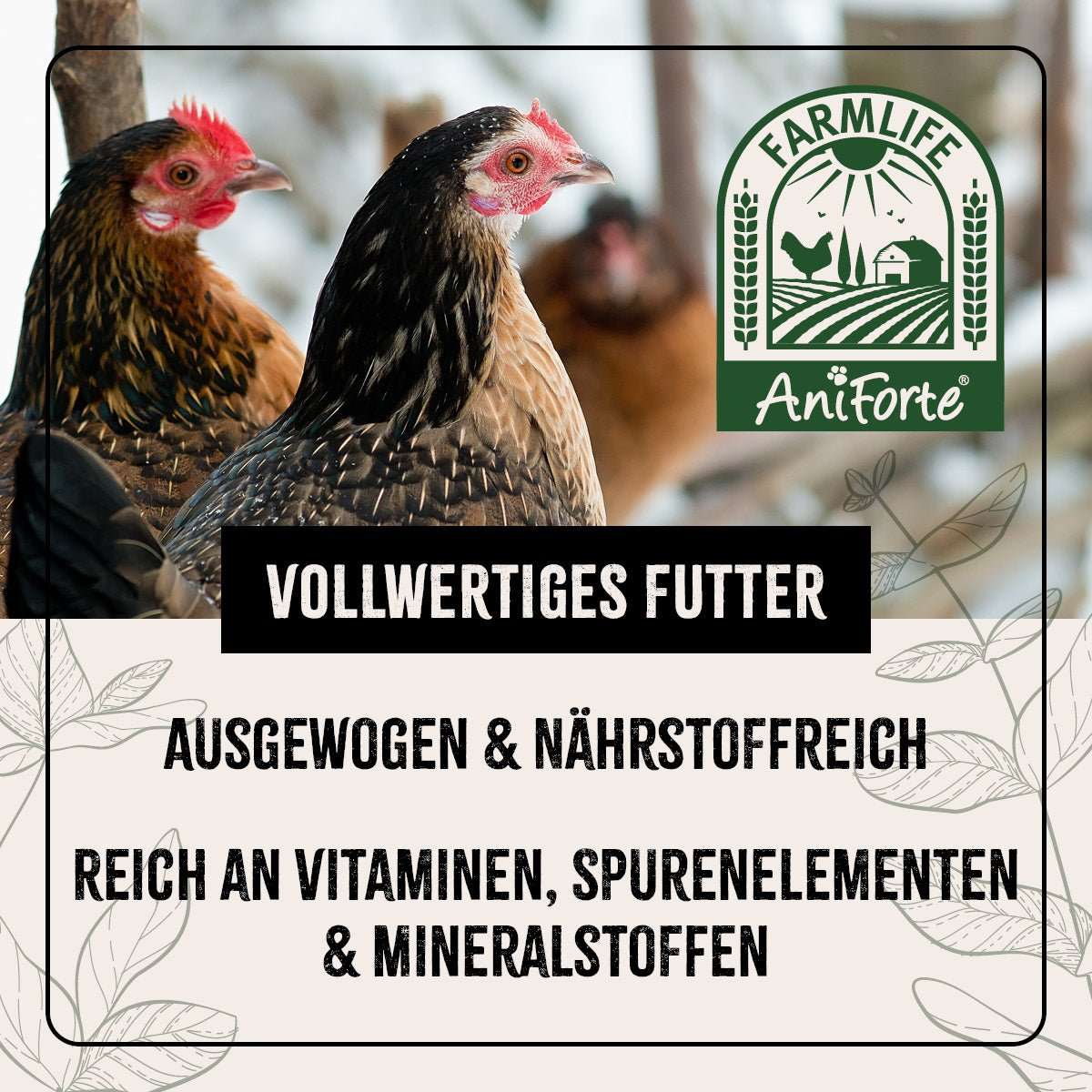 Zwei bräunliche Hühner.