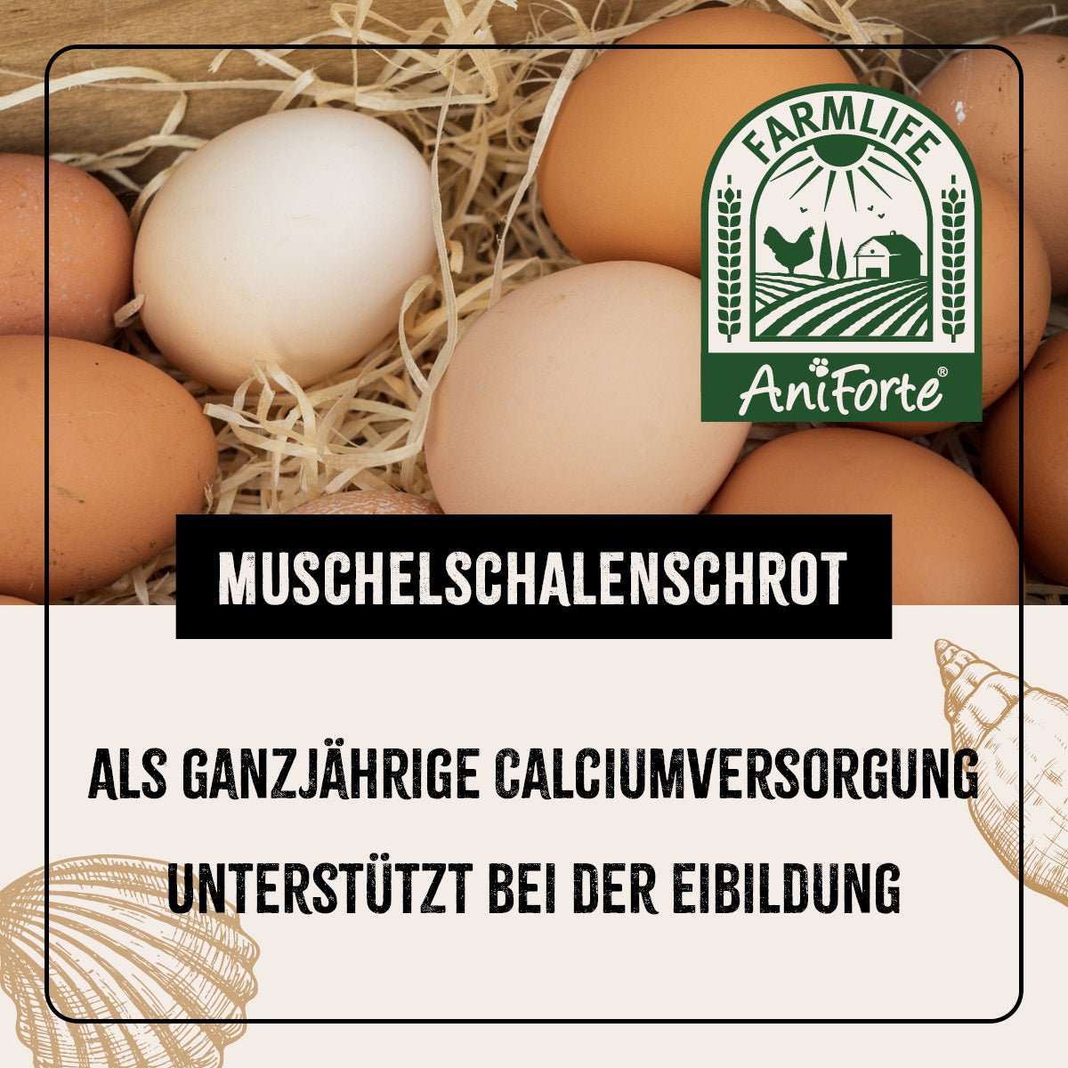 Eier liegen auf Stroh hinter grünem Logo. 
